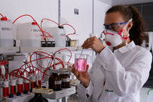 Lade das Bild in den Galerie-Viewer, Kolloidales Gold 500ml - 10ppm mit Gratis E-Book - NanoKraft GmbH